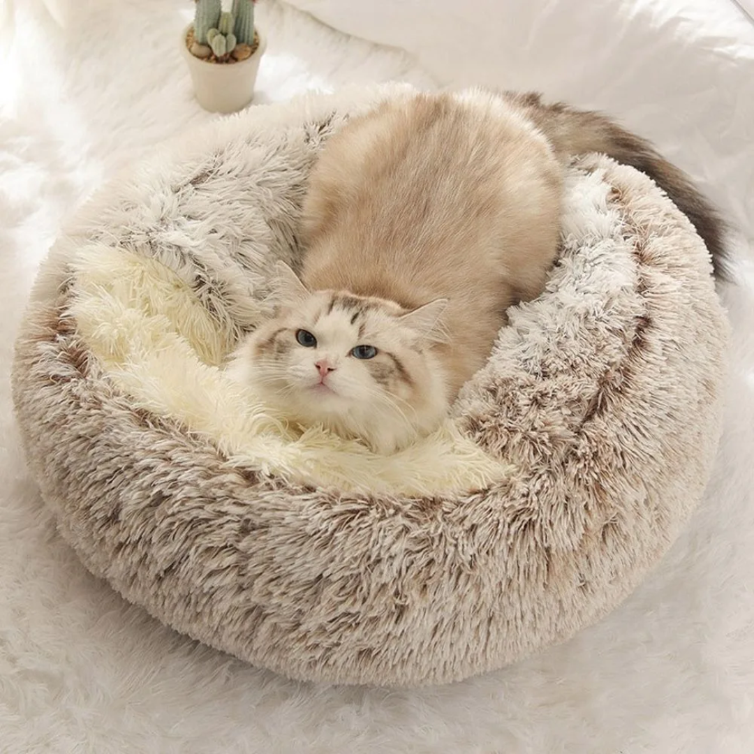 Cama Pets IGLU de pelúcia