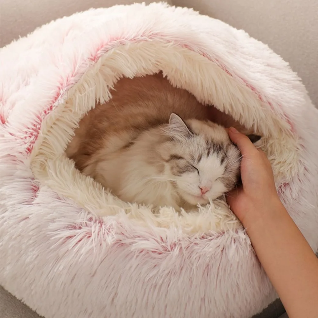 Cama Pets IGLU de pelúcia